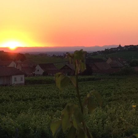 Gite Le Mandle Riquewihr Exterior foto