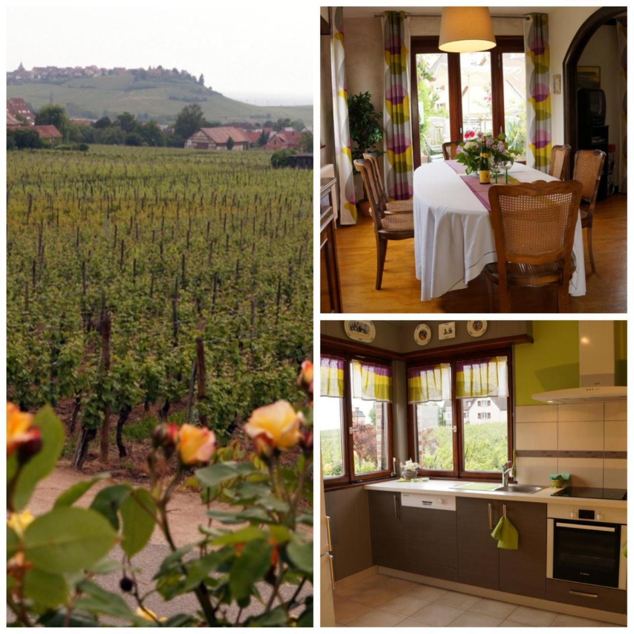 Gite Le Mandle Riquewihr Exterior foto